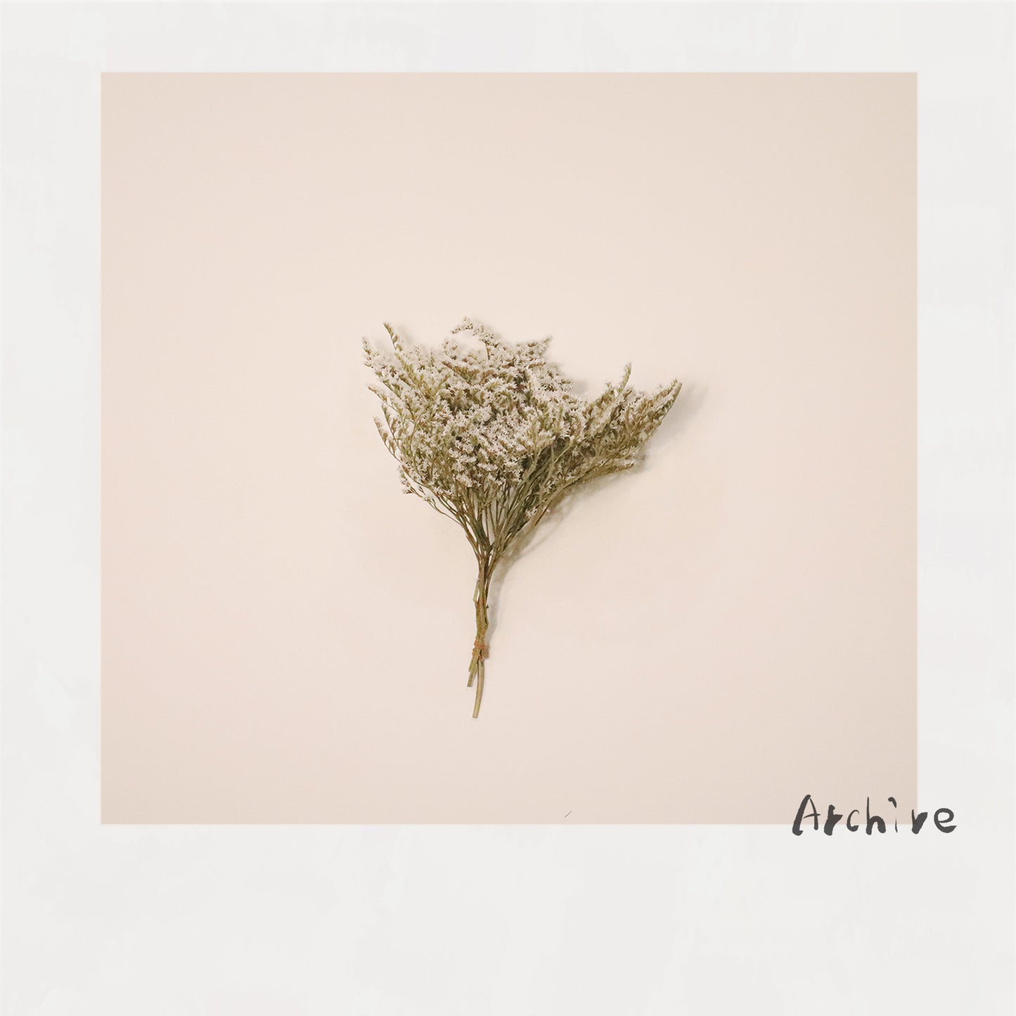 DRY FLOWER