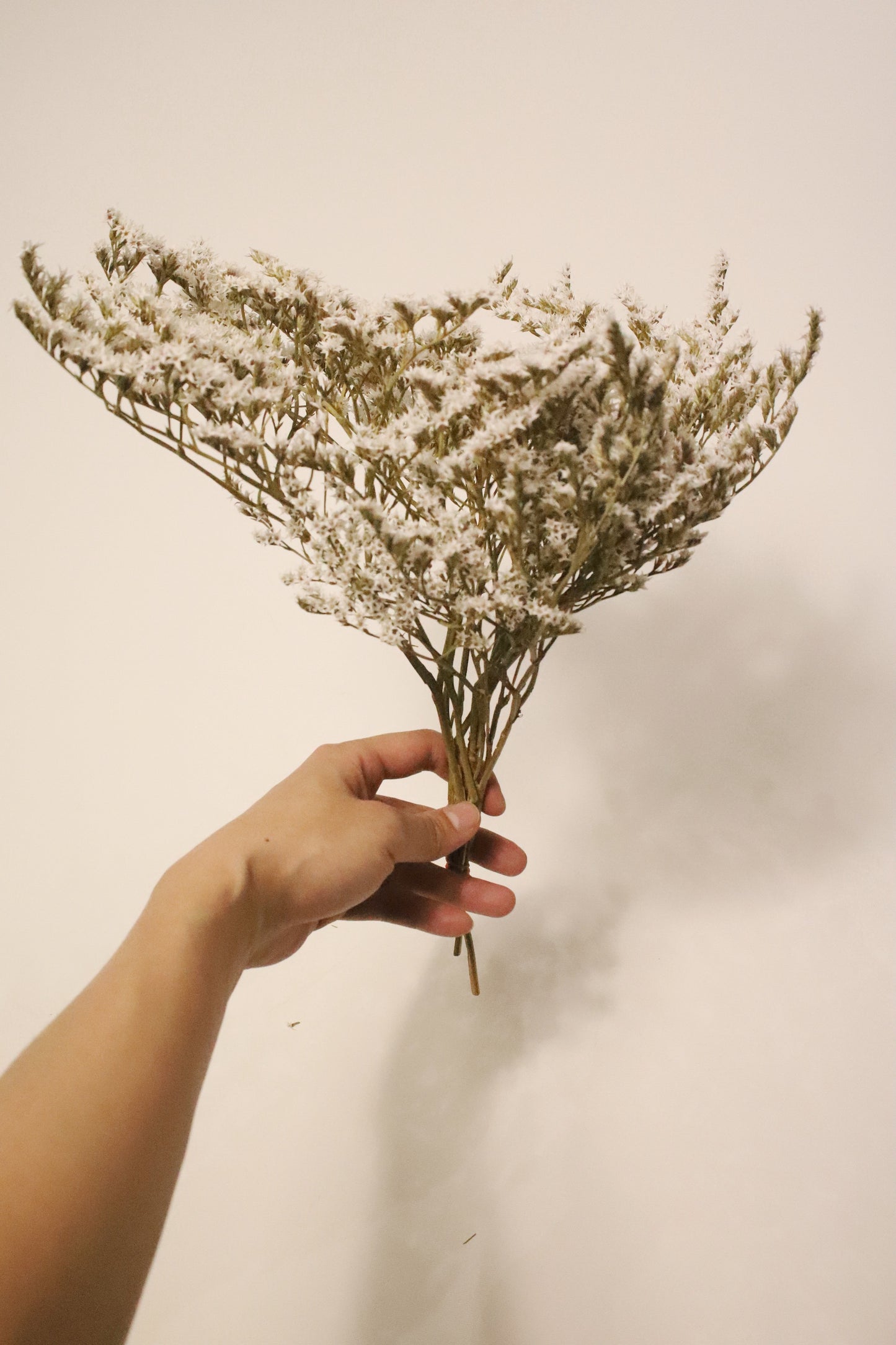 DRY FLOWER