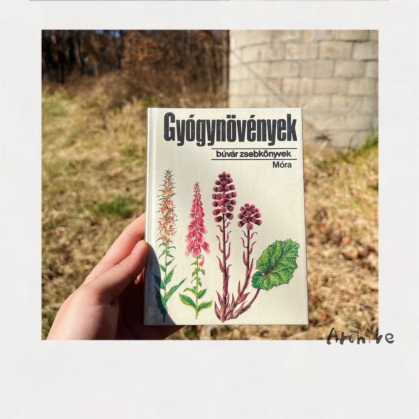 Gyógyunövények