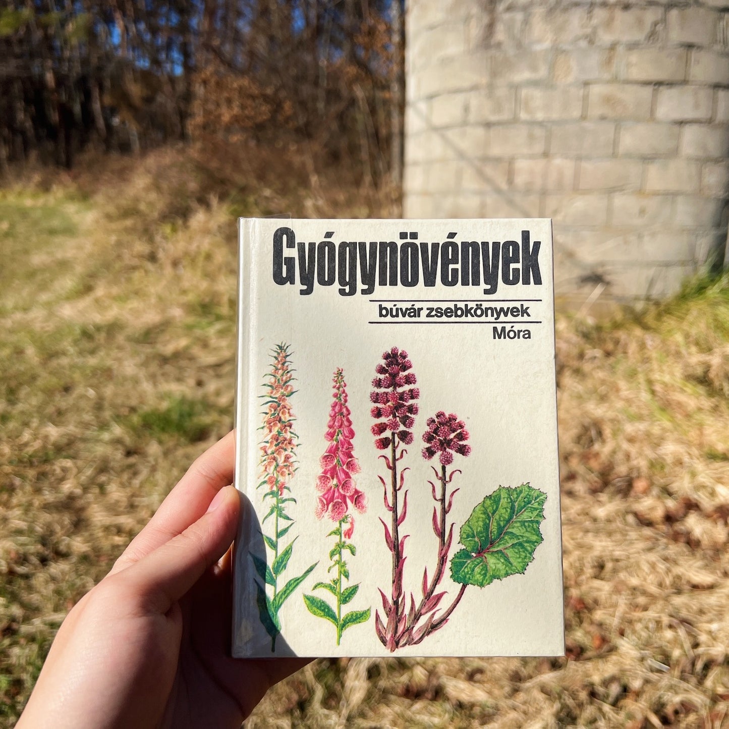 Gyógyunövények