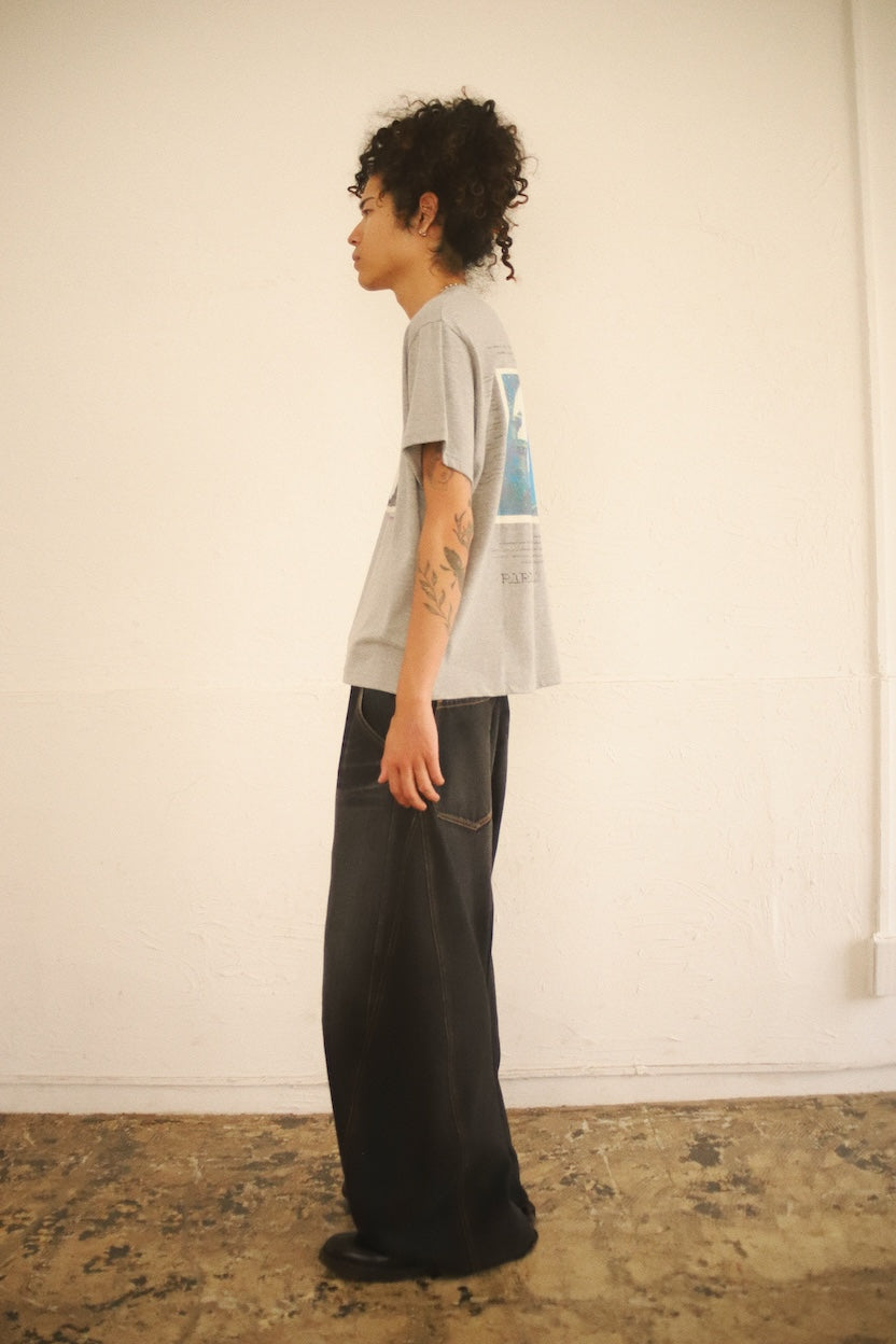 Printed T-shirt Gray