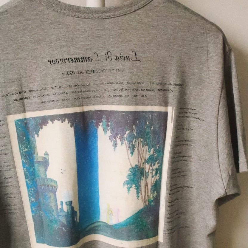 Printed T-shirt Gray