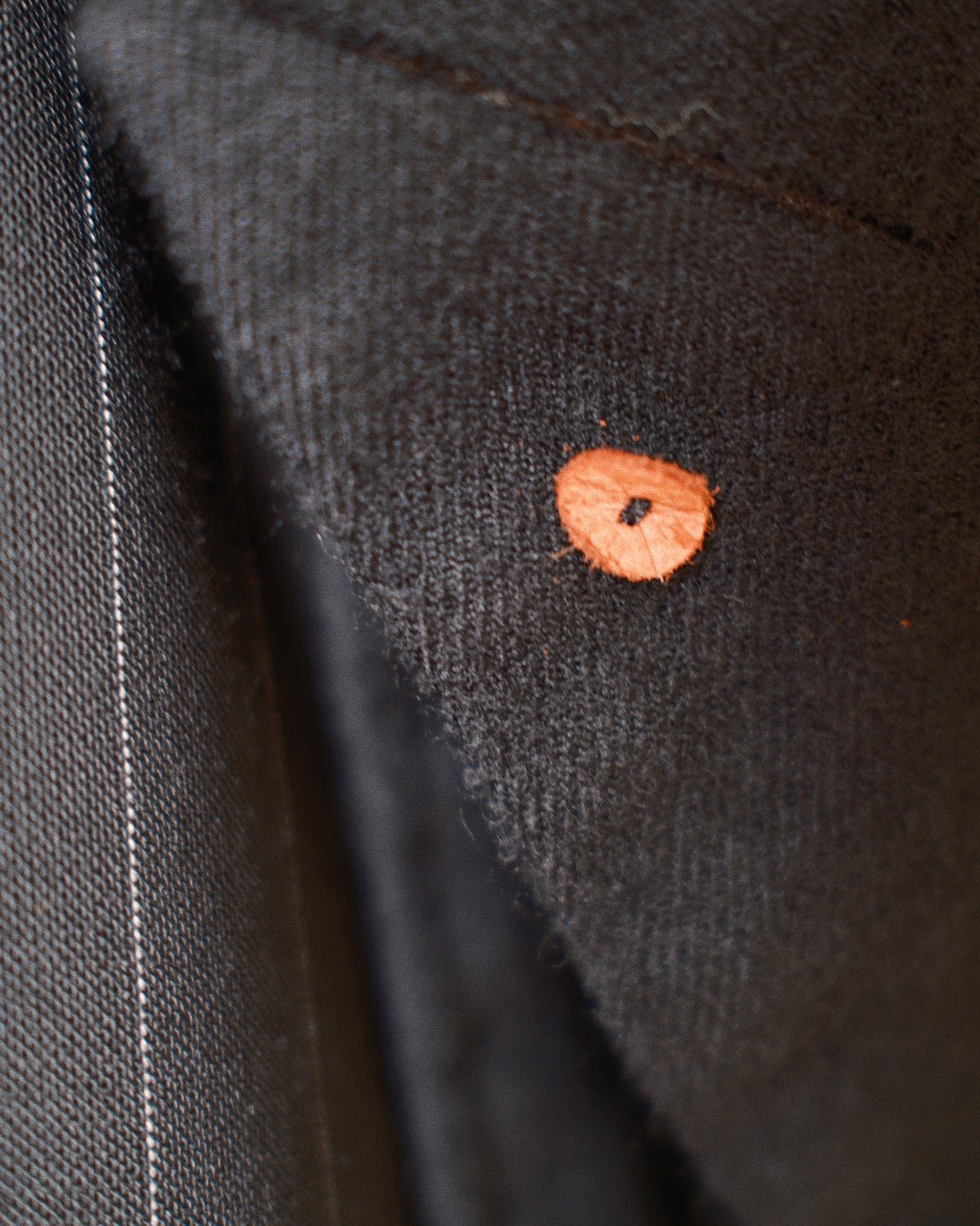 Combination boiled wool blazer Black